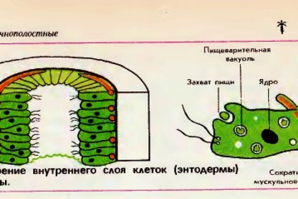 Ссылка на бс blacksprut wiki